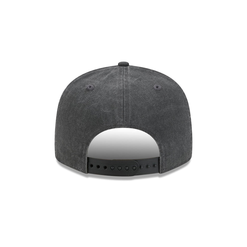 Batman & Robin 9FIFTY Snapback Hat