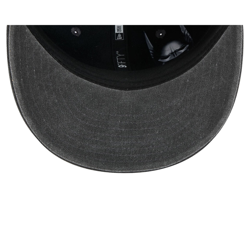 Batman & Robin 9FIFTY Snapback Hat