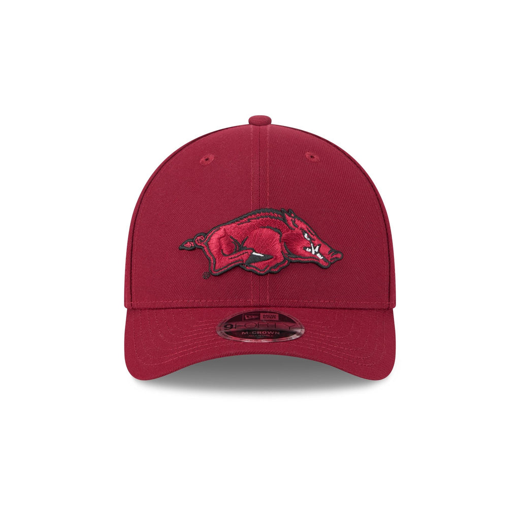 Arkansas Razorbacks Team 9FORTY M-Crown Snapback Hat