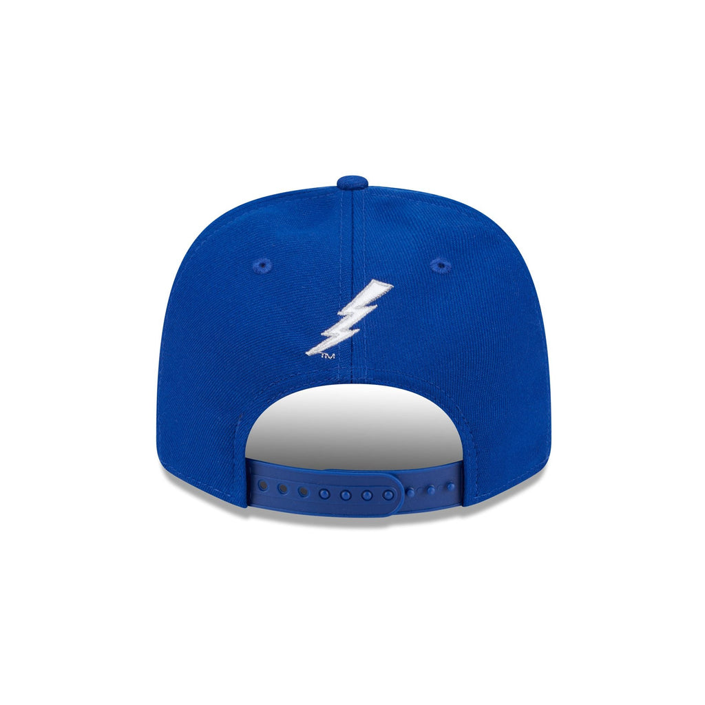 Air Force Falcons Team 9SEVENTY Stretch-Snap Hat