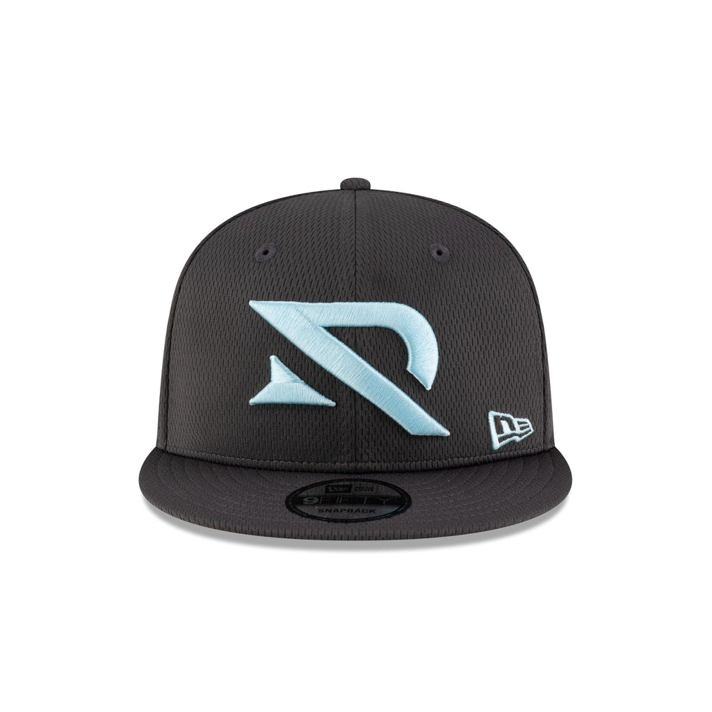 Arlington Renegades Gray 9FIFTY Snapback Hat