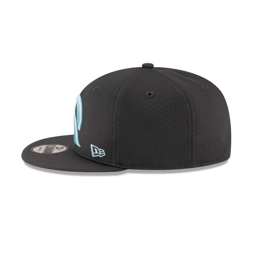 Arlington Renegades Gray 9FIFTY Snapback Hat