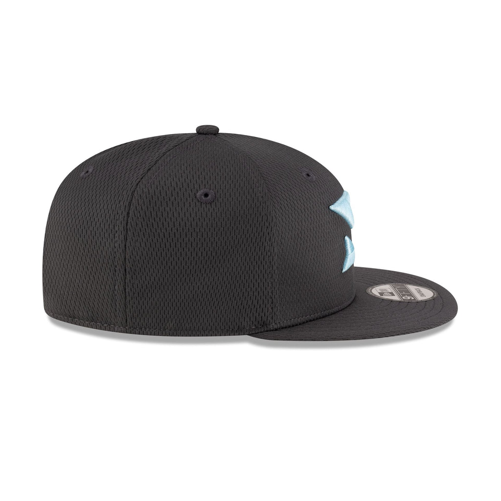 Arlington Renegades Gray 9FIFTY Snapback Hat