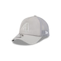 Arizona Diamondbacks 2026 Batting Practice Gray 9FORTY APEX Trucker Hat