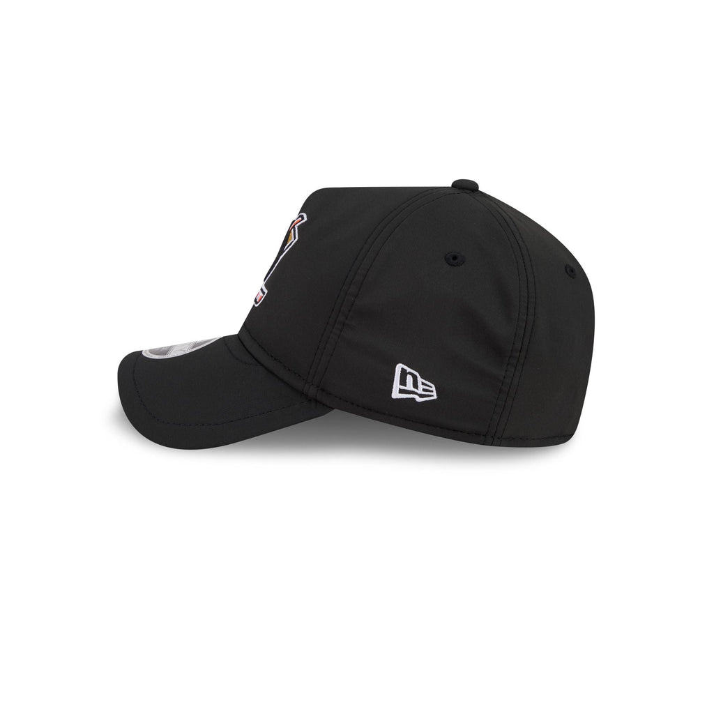 Anaheim Ducks 9FORTY APEX Snapback Hat