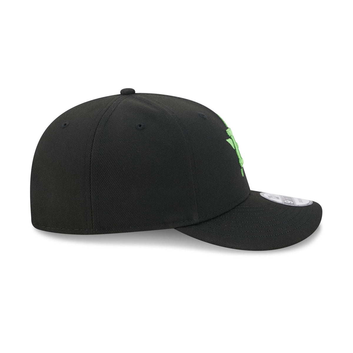 Houston Astros Brains 9FIFTY Snapback Hat