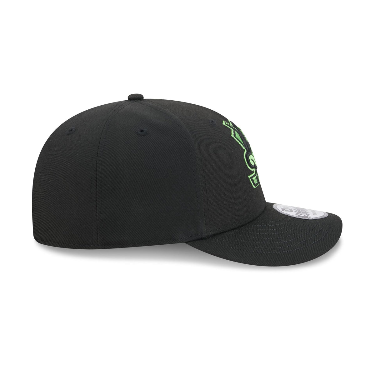 Anaheim Ducks Brains 9FIFTY Snapback Hat